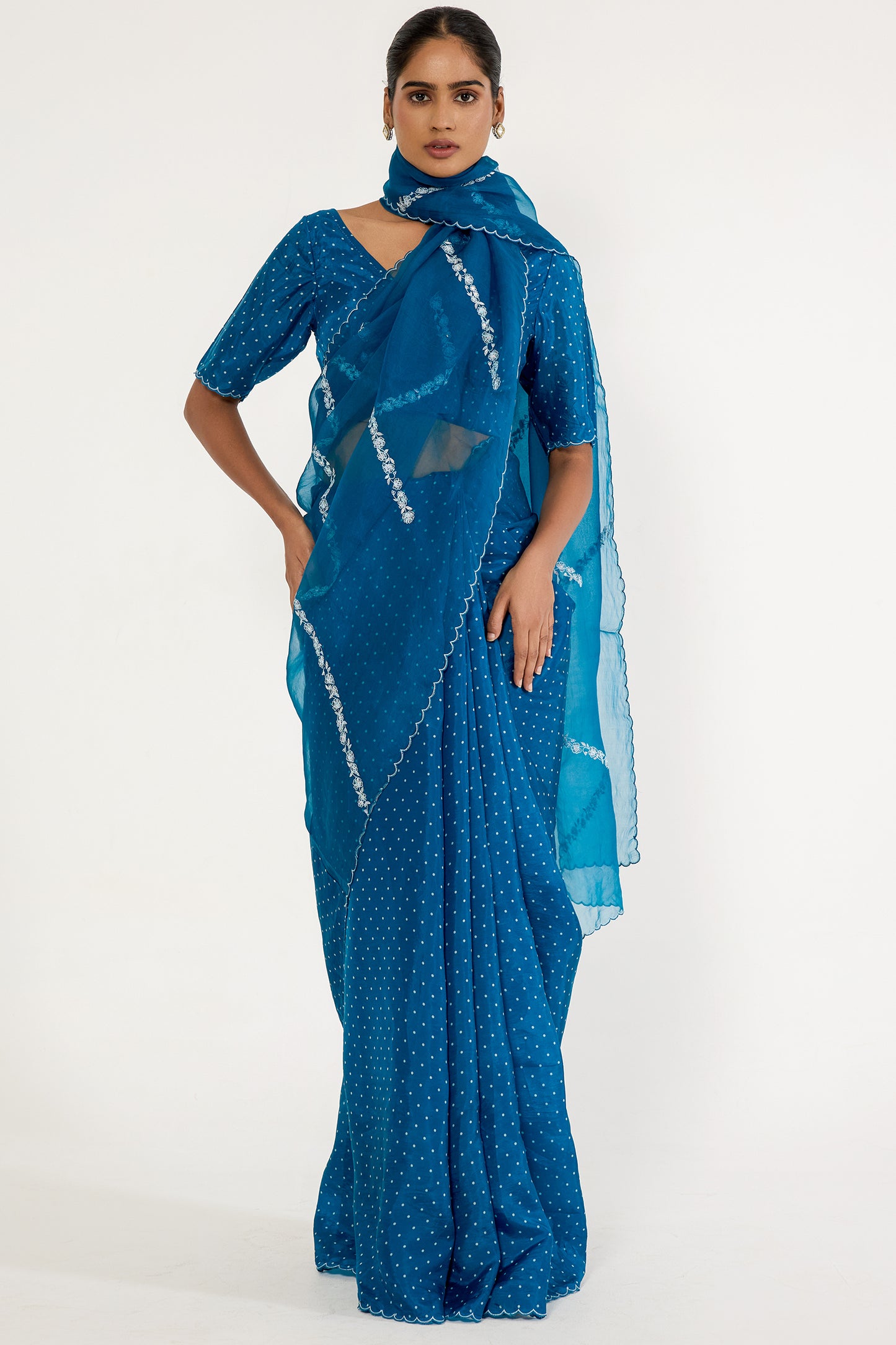 Silk organza dotted pleats saree