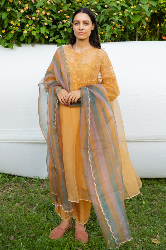 silk organza dupatta