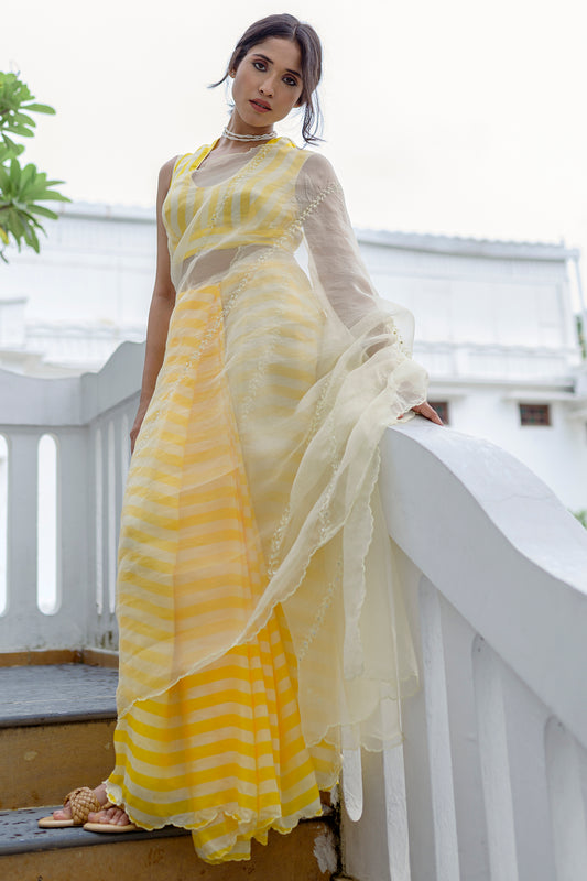 Silk organza saree